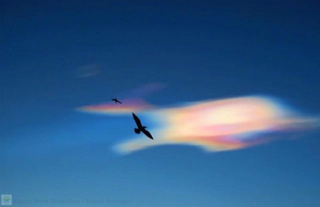 polar-stratospheric-clouds-UK.jpg